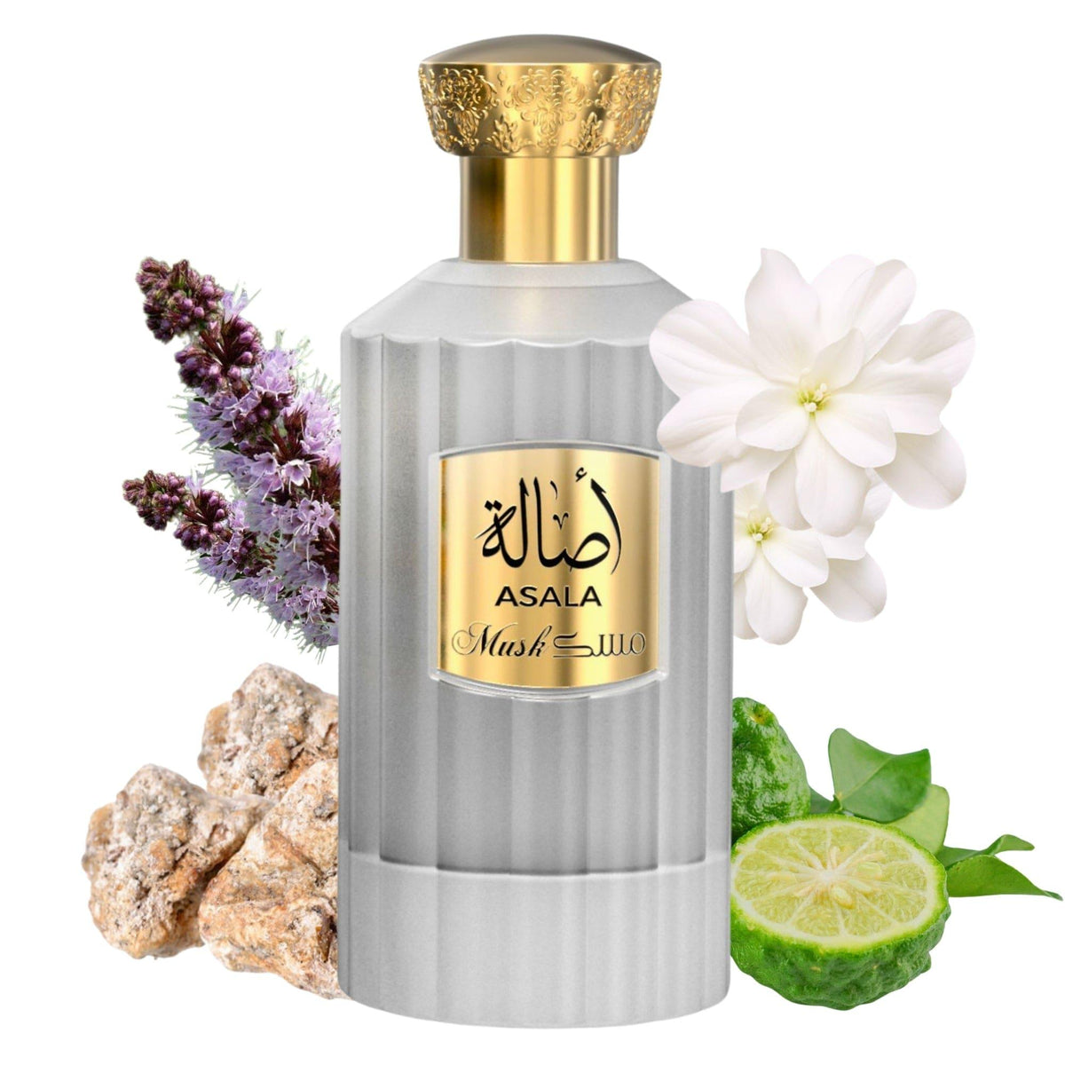 ASALA MUSK 100ML Perfume Saif-Al-Fares