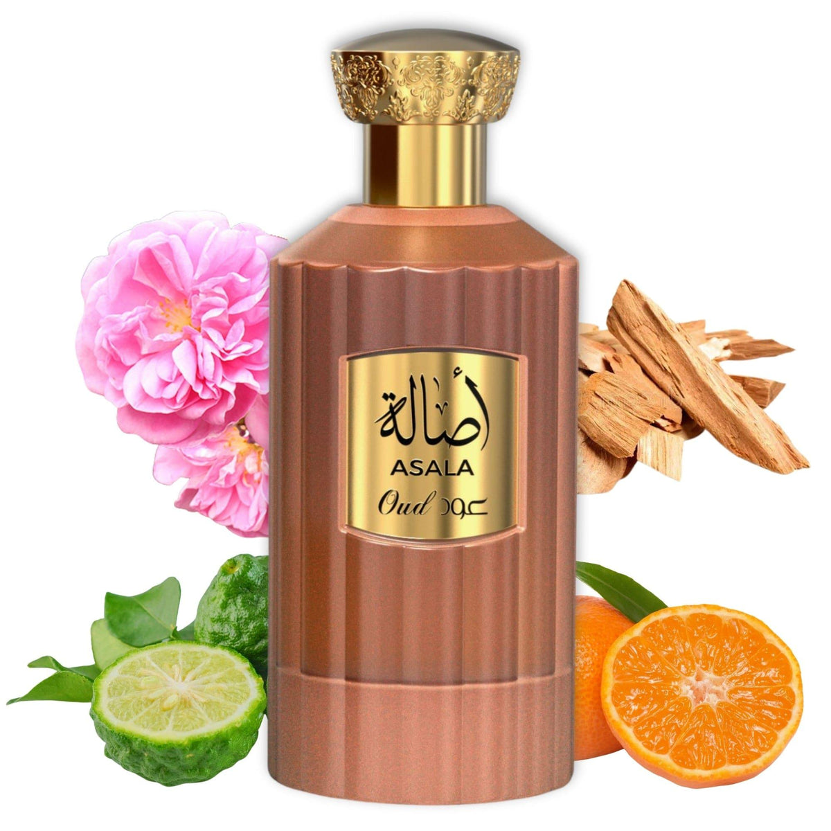 ASALA OUD 100ML Perfume Saif-Al-Fares